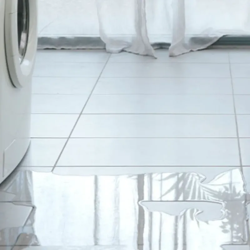 Appliance Leak Cleanup in Black Canyon City, AZ