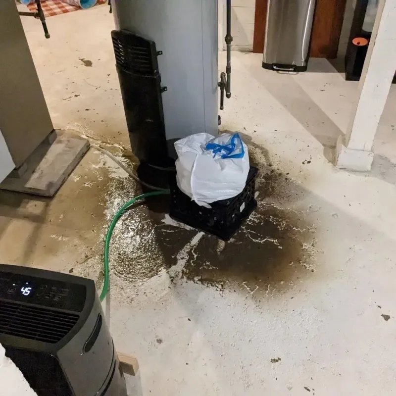 Sewage Backup Cleanup Service in Black Canyon City, AZ